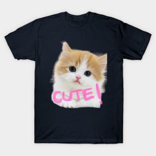 cuta cat T-Shirt